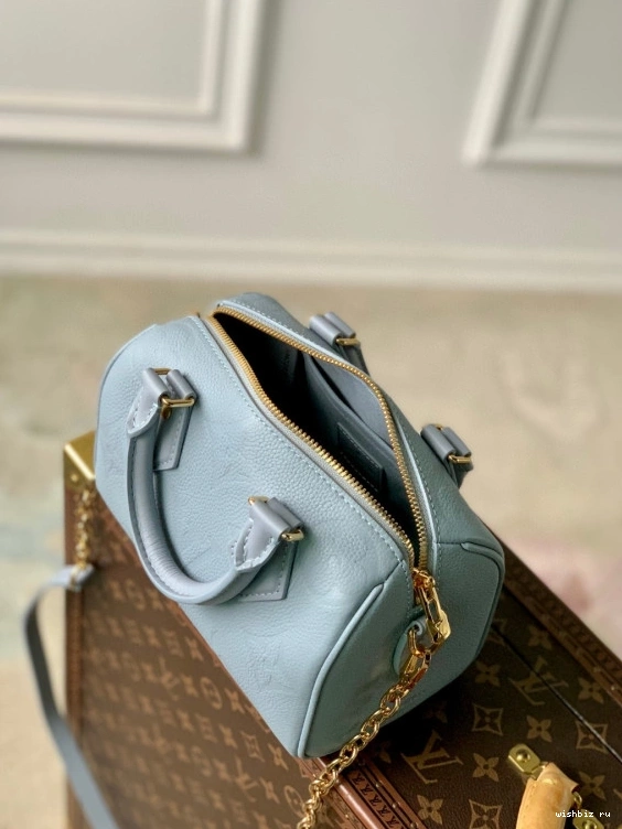 WIS SPEEDY VUITTON 20 BANDOULIÈRE LOUIS 1210